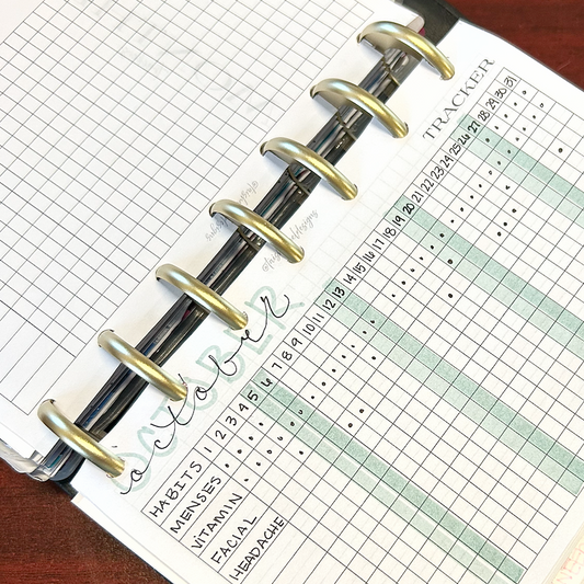 Undated 12 Month Habit Tracker Insert  *DIGITAL DOWNLOAD*